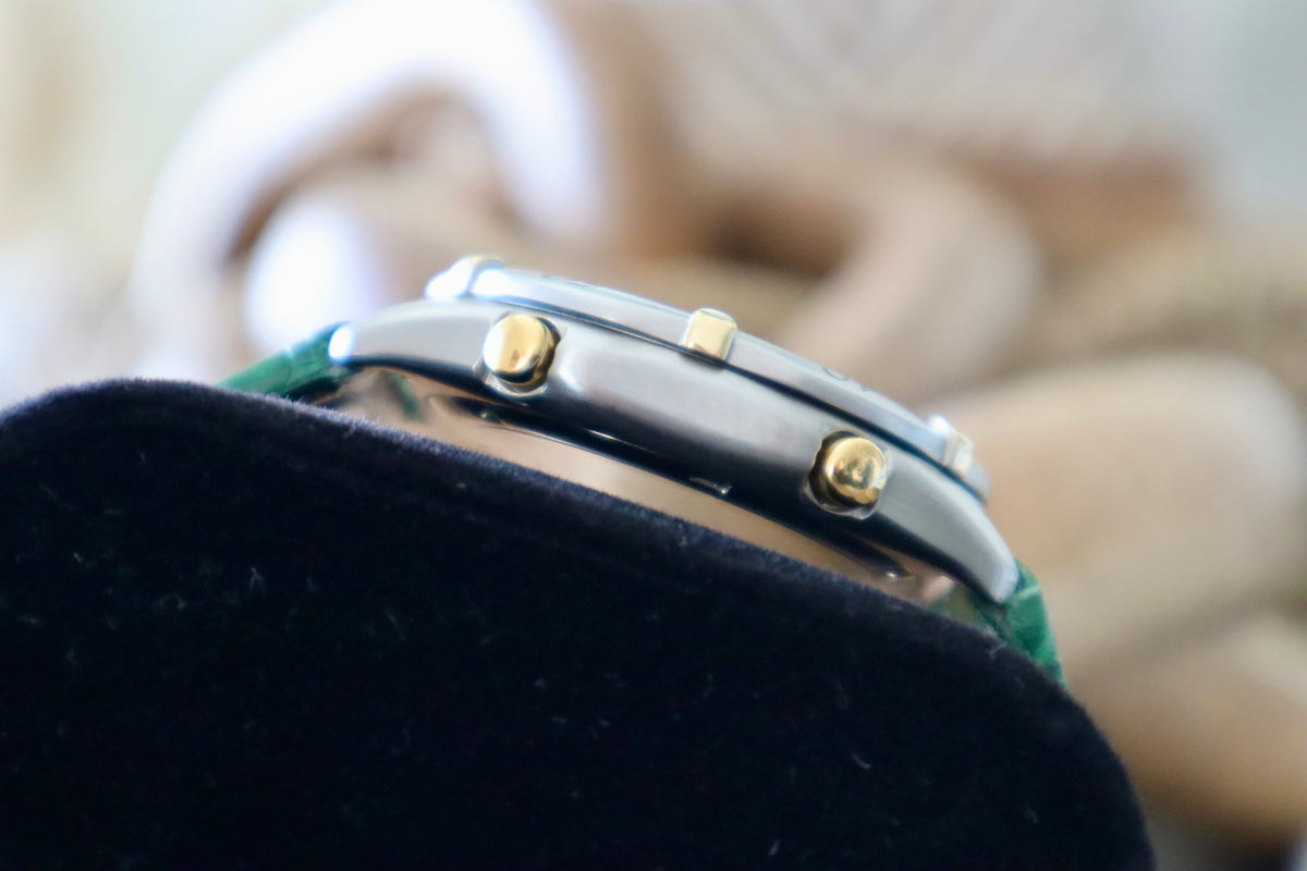 Citizen Promaster Chronograph